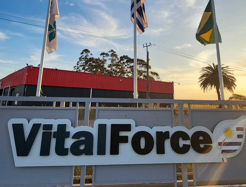 Investigación y desarrollo