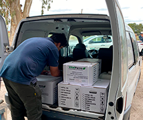 Investigación y desarrollo