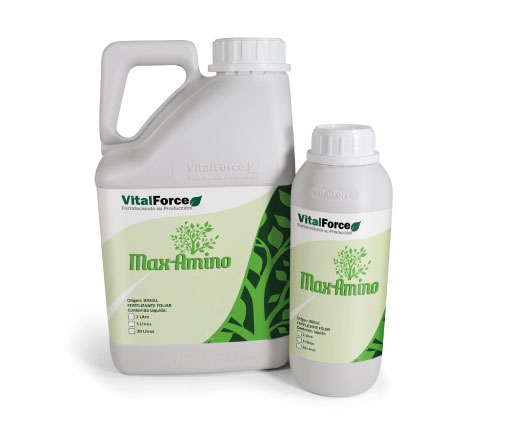 Estímulus Max-Amino